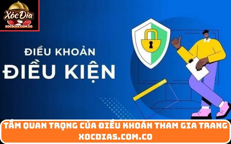 Tầm Quan Trọng Của Điều Khoản Tham Gia trang xocdias.com.co
