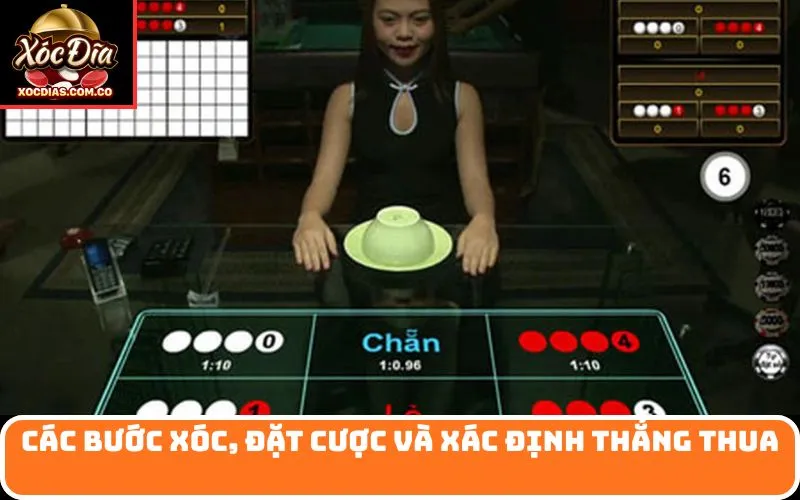 Các bước xóc, đặt cược và xác định thắng thua