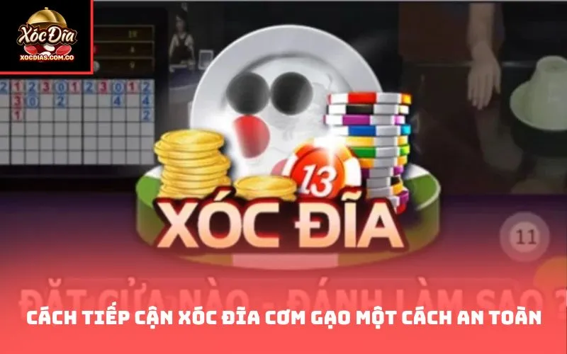 Cách tiếp cận xóc đĩa cơm gạo một cách an toàn