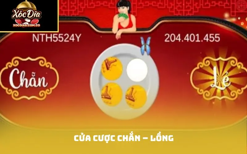 Cửa cược chắn – lồng