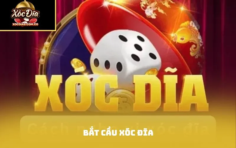 Bắt cầu xóc đĩa